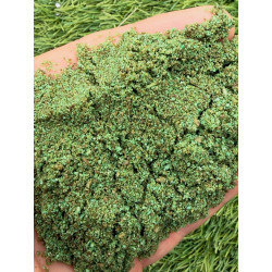 Mainline - Amorce Green Supreme Mainline - Amorce Green Supreme