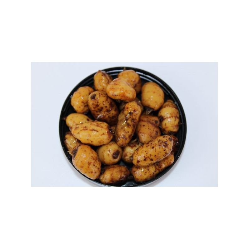Pro Elite Baits - Tigernuts XXL Robin Red