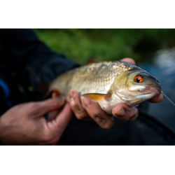Sonubaits - Amorce So Natural Black Roach Sonubaits - Amorce So Natural Black Roach