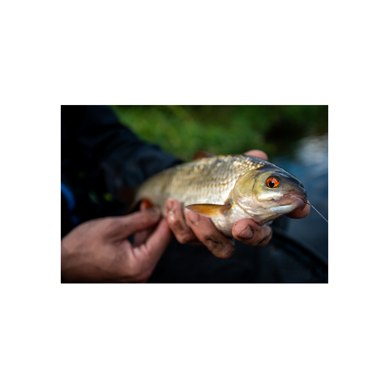 Sonubaits - Amorce So Natural Black Roach Sonubaits - Amorce So Natural Black Roach