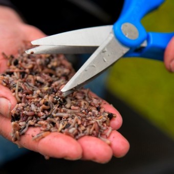 CISEAUX A VERS DOUBLE LAME CRESTA