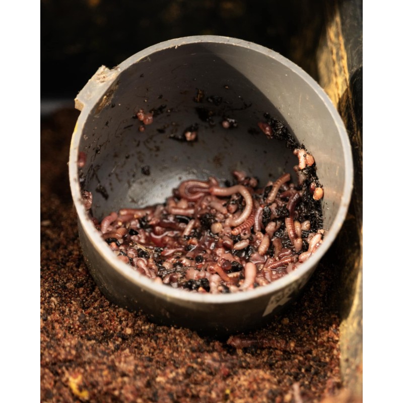 AMORCE VERS WORM FISHMEAL SONUBAITS