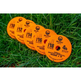 HAMEÇON MONTÉ MATCH SPECIAL GURU