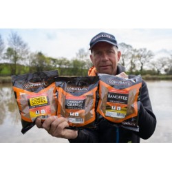 PÂTE ONE TO ONE PAST  SONUBAITS