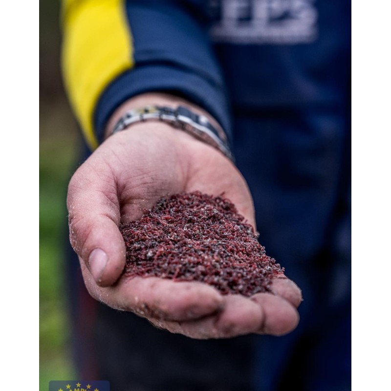 DÉCOLLE FOUILLIS JOKER CLEAN BLANC CHAMPION FEED