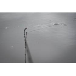 SCION ETHOS XRS LIGHT FEEDER RODS SPARE TIPS 2.2MM MATRIX