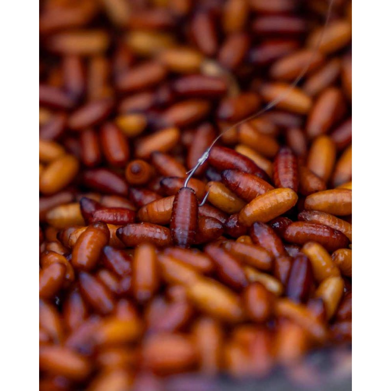 HAMEÇON X4 COMMERCIAL SILVER MATRIX