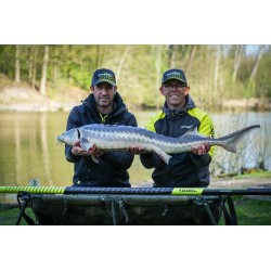 PACK TORQUE TORQUE 10 M POLE MATRIX