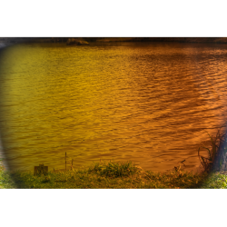 LUNETTES  - AMBER BROWN PRESTON INNOVATIONS