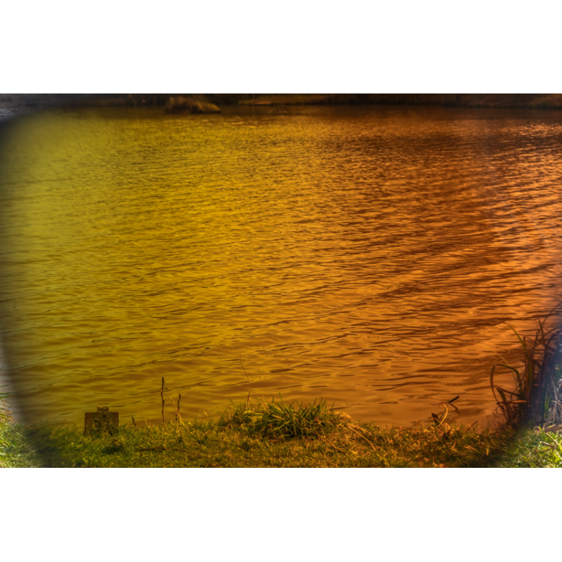 LUNETTES  - AMBER BROWN PRESTON INNOVATIONS