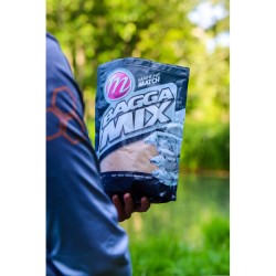 AMORCE BAGGA MIX MAINLINE 1kg