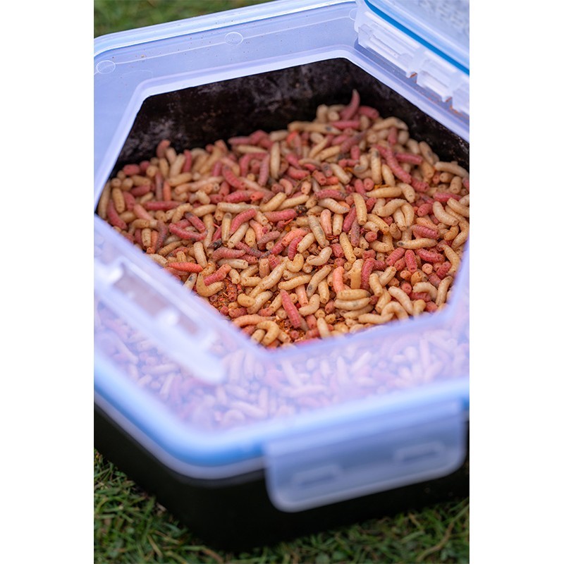 BOITE A ESCHES SECURE LOCK BAIT BOX AND SIEVE ZEBCO