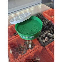 BOITE MESURE OFFICIELLE VERS DE VASE SENSAS