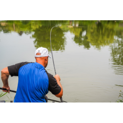 SCIONS FEEDER POUR CANNE INSPIRE PRESTON INNOVATIONS