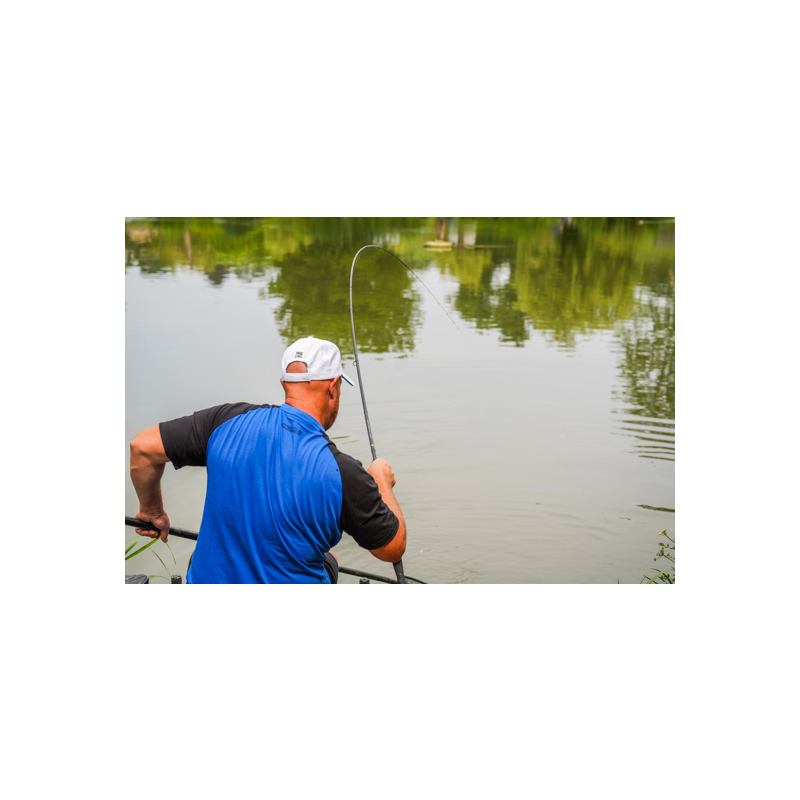 SCIONS FEEDER POUR CANNE INSPIRE PRESTON INNOVATIONS