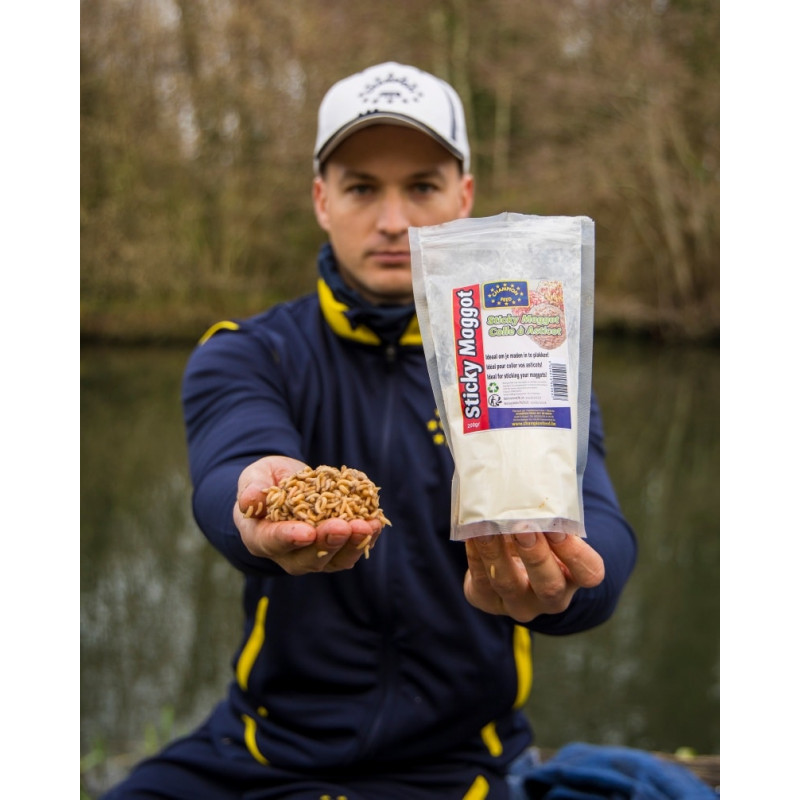 Champion Feed - Colle à Asticots Sticky Maggot Champion Feed - Colle à Asticots Sticky Maggot