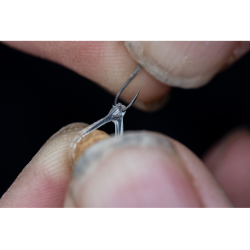 Preston Innovations - Bague à pellets Hookable Bait Bands Preston Innovations - Bague à pellets Hookable Bait Bands