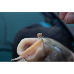Preston Innovations - Bague à pellets Hookable Bait Bands Preston Innovations - Bague à pellets Hookable Bait Bands