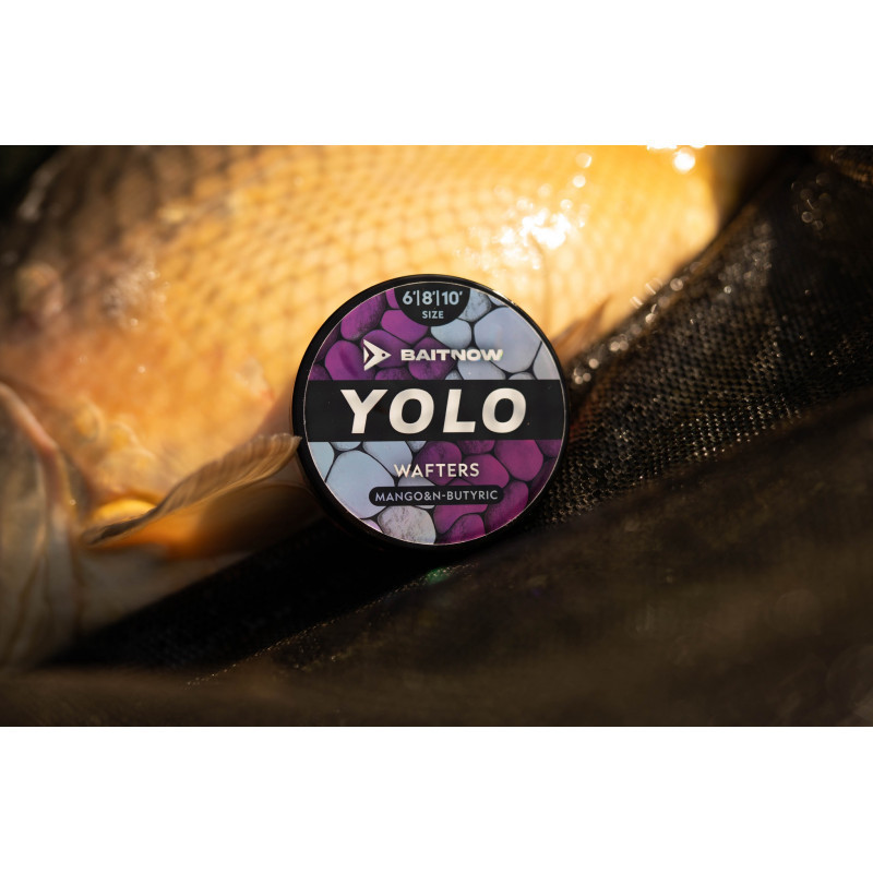 BaitNow - Wafters Method Feeder 3 tailles Bi Color Yolo