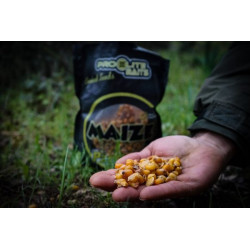 Pro Elite Baits - Maïs cuit en grain Maize Pro Elite Baits - Maïs cuit en grain Maize