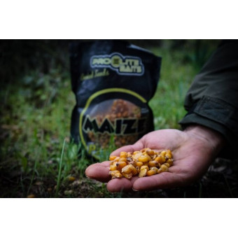 Pro Elite Baits - Maïs cuit en grain Maize