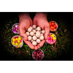 Pro Elite Baits - Pop Ups Two Tone Garlic Fluo Pro Elite Baits - Pop Ups Two Tone Garlic Fluo