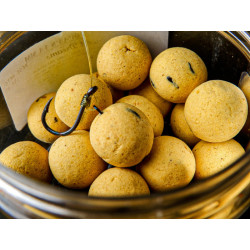 Pro Elite Baits - Pop Ups Gold Sweet Dreams Pro Elite Baits - Pop Ups Gold Sweet Dreams