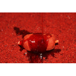 Pro Elite Baits - Additif Dip Booster Robin Red